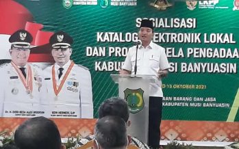 Sosialisasi Katalog Elektronik Lokal dan Program Bela Pengadaan Kabupaten Musi Banyuasin