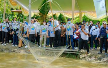 Anugerah Pesona Indonesia Pemerintah Kabupaten Musi Banyuasin